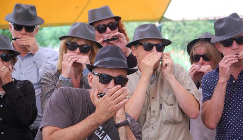 Mondharmonica: Workshops Sint-Truiden